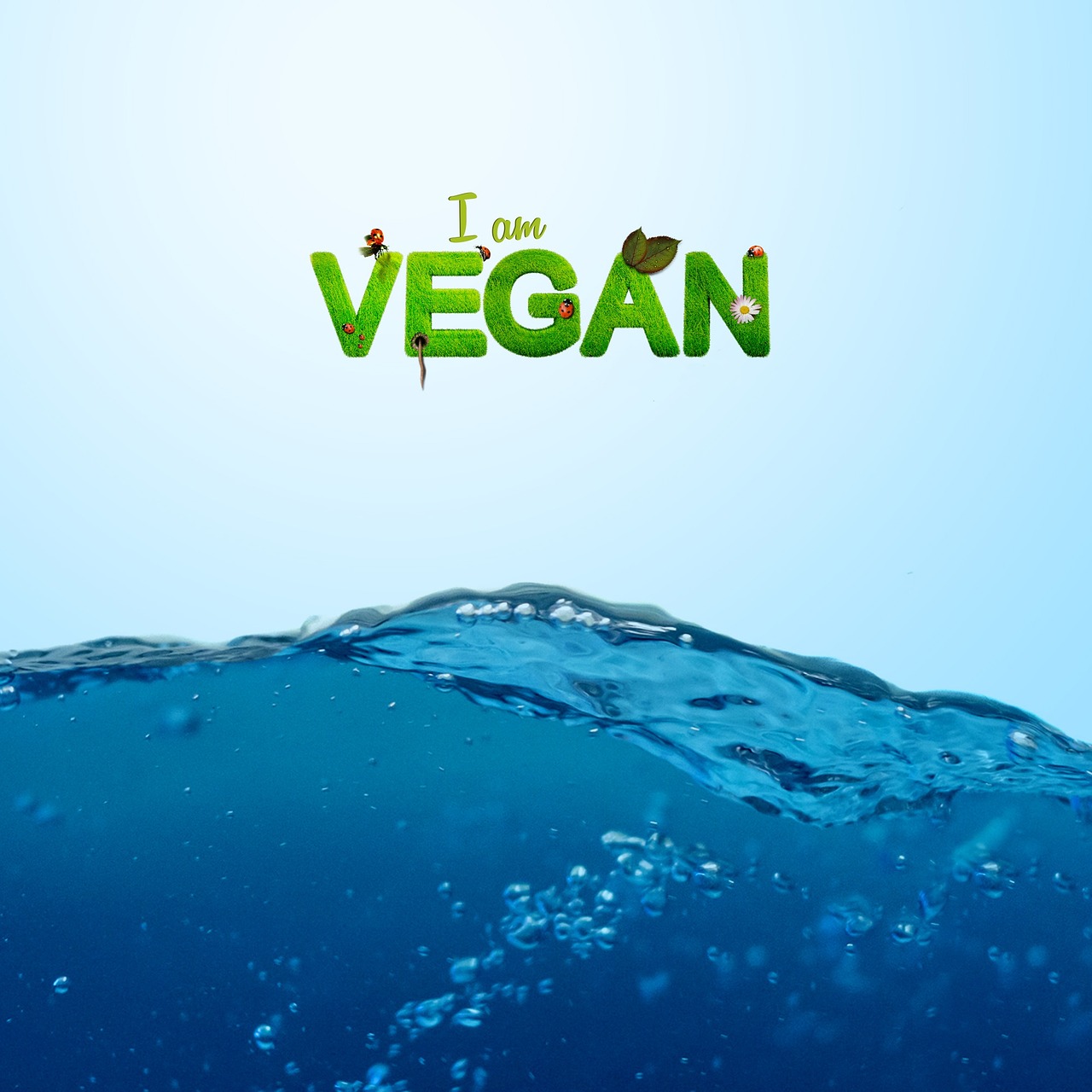 vegan, vegetarian, healthy-1091012.jpg